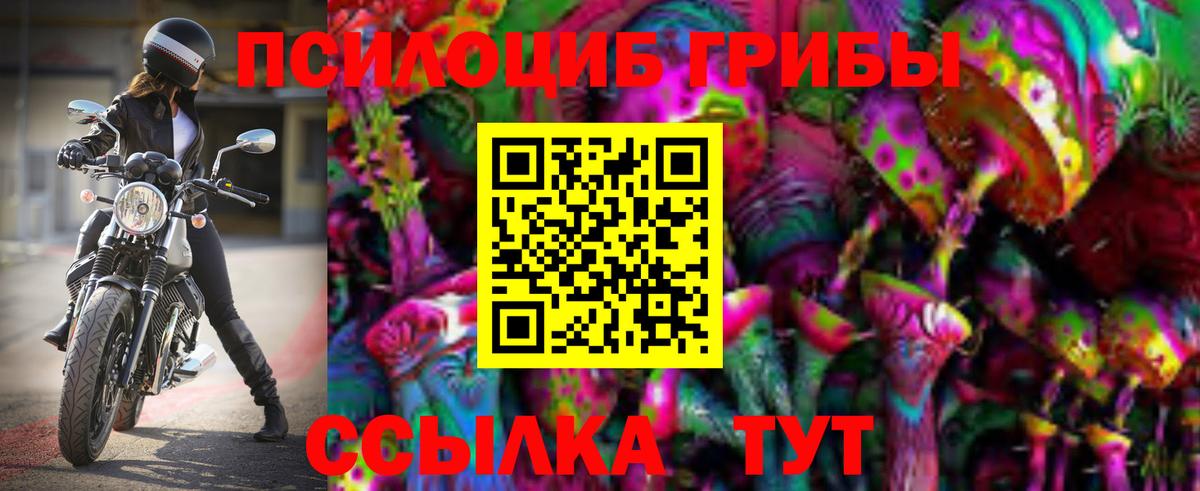 Псилоцибиновые грибы GOLDEN TEACHER Губаха